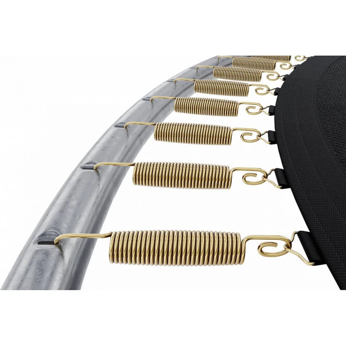 Батут Zipro Jump Pro з внутрішньою сіткою 10 футів 312 см чорно-зелений