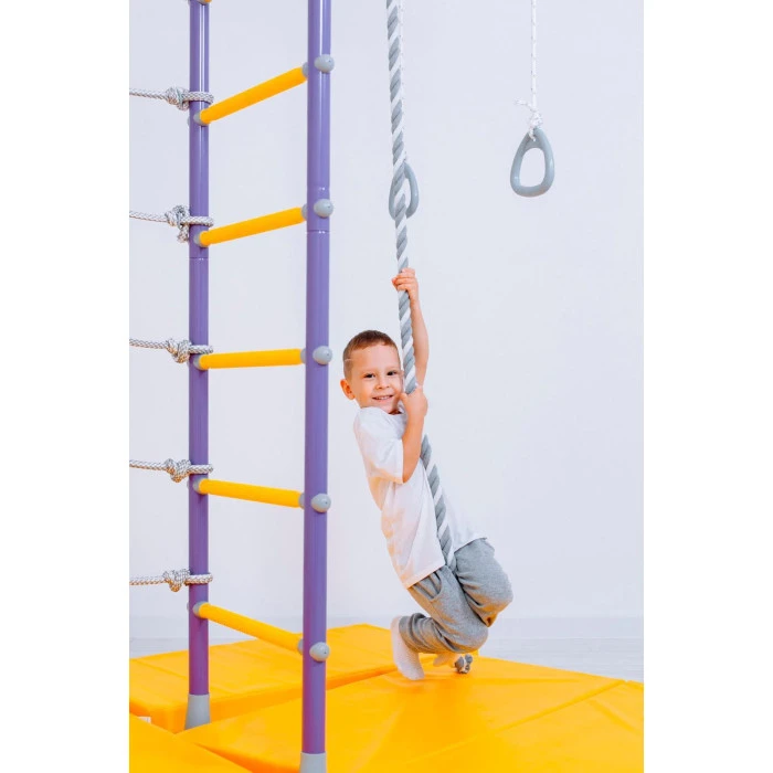 Детская игровая площадка Romana Pegas, фиолетовая