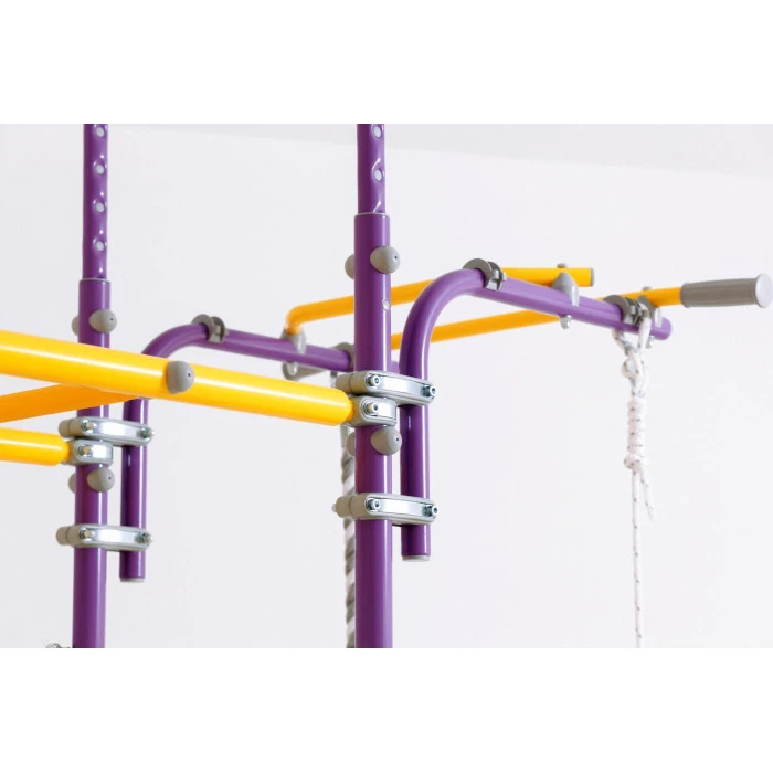 Детская игровая площадка Romana Pegas, фиолетовая