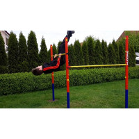 Ігровий майданчик Hudora Fabian Double Bar (64002)