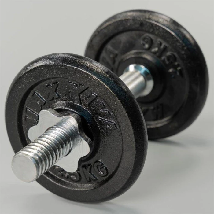 Набір дисків Maxxiva 4 х 2,5 кг