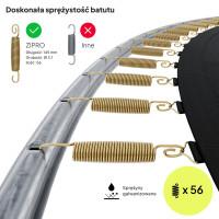 Батут Zipro Jump Pro із зовнішньою сіткою 10 футів 312 см чорно-зелений