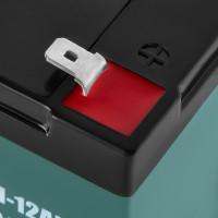 Тяговый свинцово-кислотный AGM аккумулятор LP 6-DZM-12 Ah