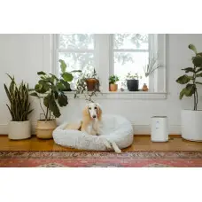 Очищувач повітря Karcher AF 20 (1.024-820.0)