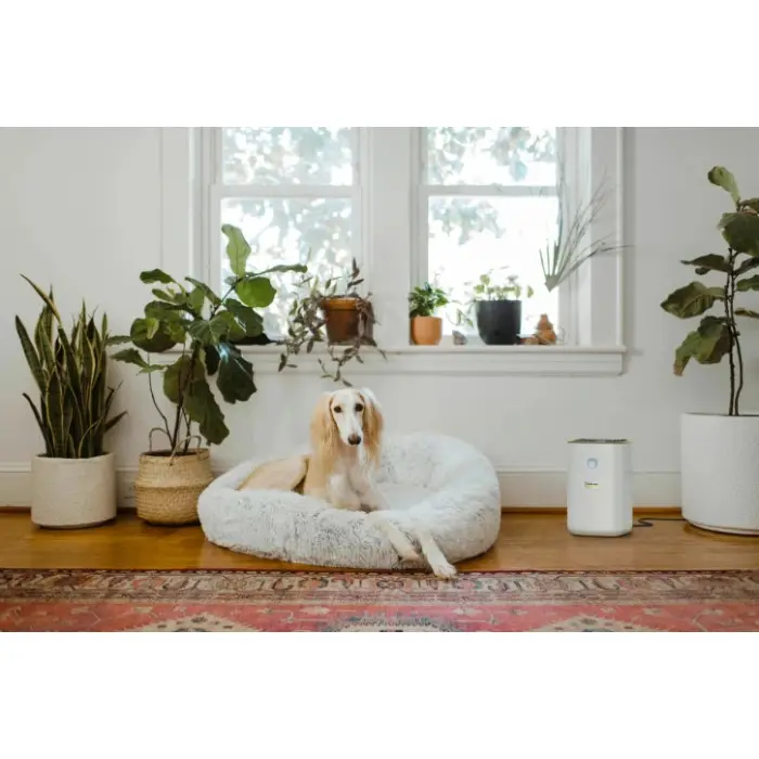 Очищувач повітря Karcher AF 20 (1.024-820.0)