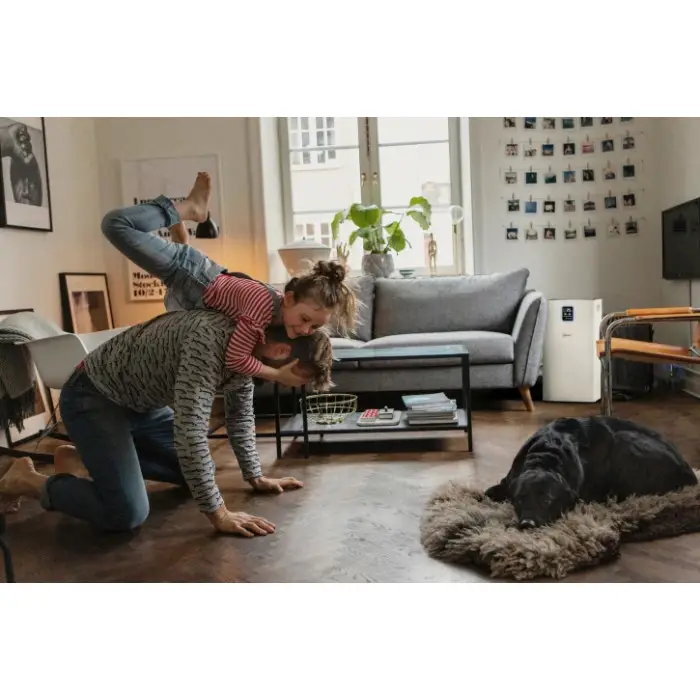 Очищувач повітря Karcher AF 50 (1.024-822.0)