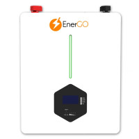 Аккумулятор EnerGo LiFePO4 51.2V 100Ah (NRG-KM51100LF-WM)