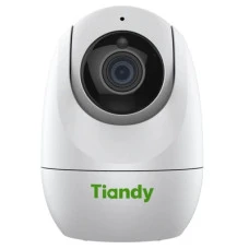 IP-видеокамера Tiandy TC-H332N (00-00002233)