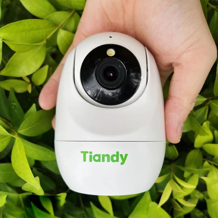 IP-видеокамера Tiandy TC-H332N (00-00002233)
