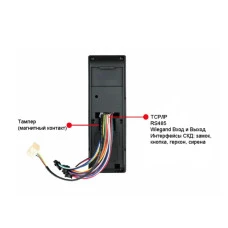 ZKTeco TF1600 Біометричний термінал ZKTeco 6665