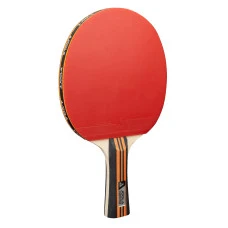 Набор для настольного тенниса Joola Family Advanced 4 Bats 6 Balls (54823)