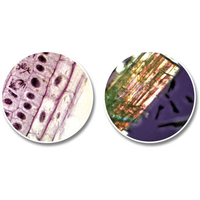 Микроскоп National Geographic Junior 40x-640x + Телескоп 50/360 с кейсом (9118200)