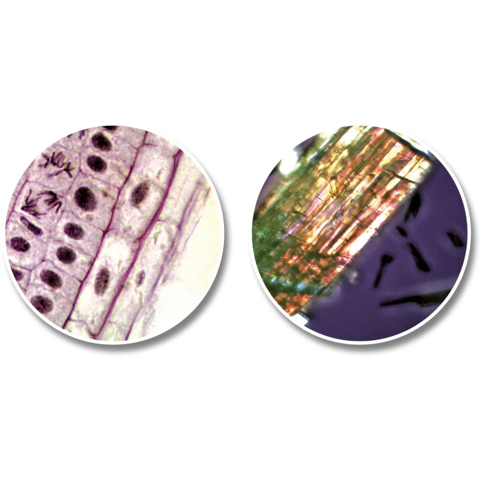 Микроскоп National Geographic Junior 40x-640x + Телескоп 50/360 с кейсом (9118200)