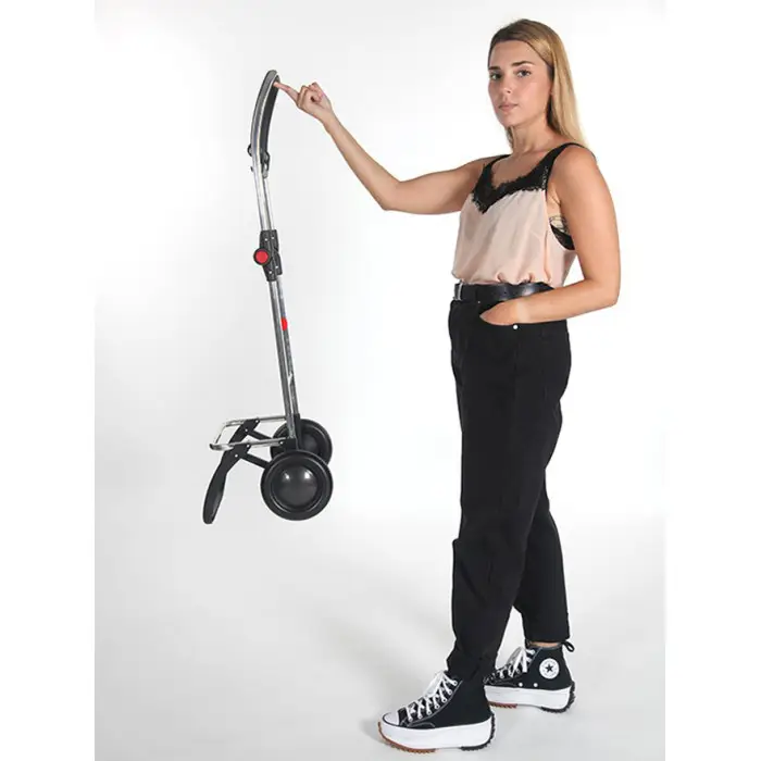 Сумка-тележка Rolser I-Max MF 2L Burdeos (IMX304-1060)