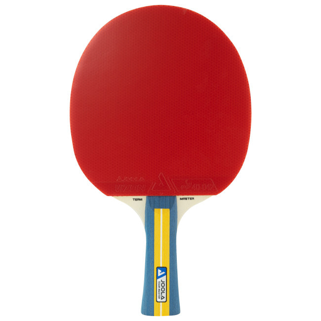 Набор для настольного тенниса Joola Team Master Pro 2 Bats 3 Balls (52001-1)