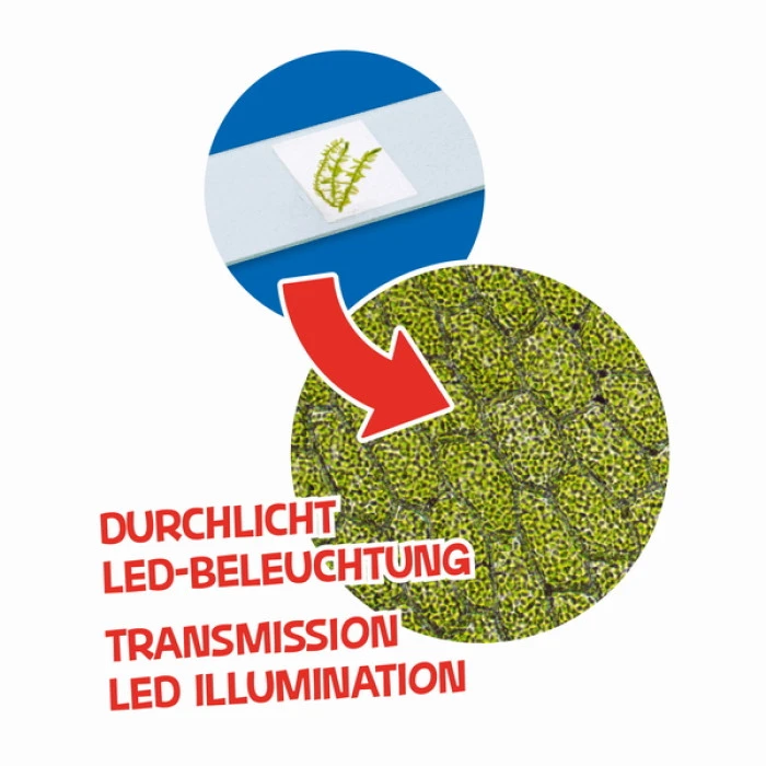 Микроскоп Bresser Junior 40x-640x Green с набором для опытов и адаптером для смартфона (8851300B4K000)