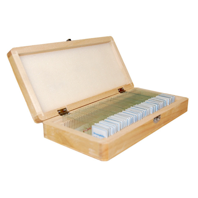 Набор препаратов Optima Общая биология A (50 шт.) (S-004.1)