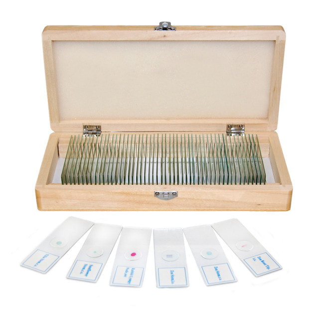 Набор препаратов Optima Общая биология A (50 шт.) (S-004.1)