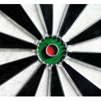 Дартс класичний Equinox Aries (DA-11)