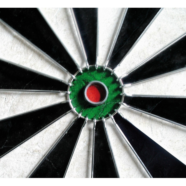 Дартс классический Equinox Aries (DA-11)