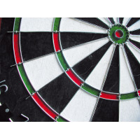 Дартс класичний Equinox Aries (DA-11)