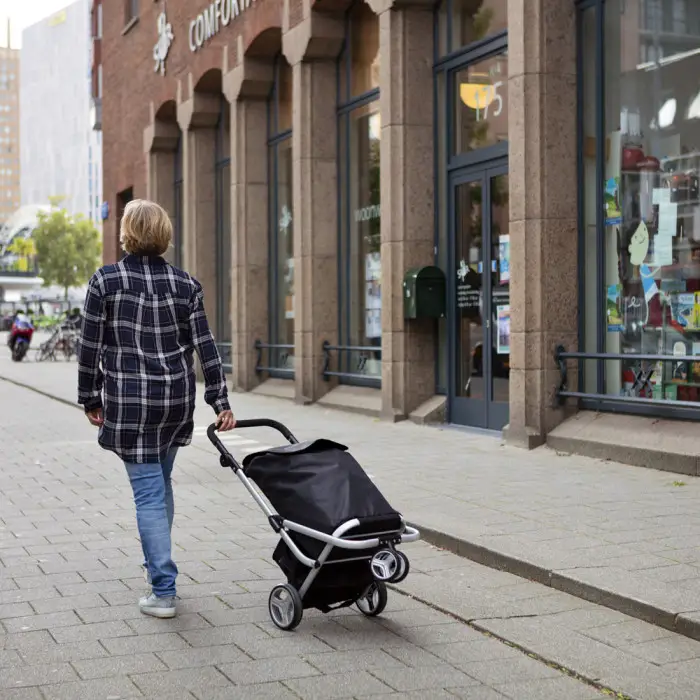 Сумка-тележка ShoppingCruiser 3 Wheels Black (604349)