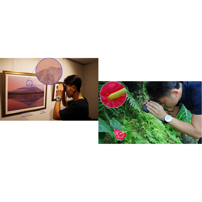 Бинокль Pentax UP 6.5x21 Papilio II (62001)