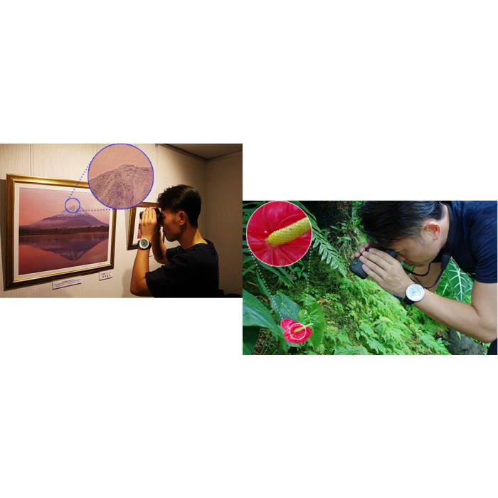 Бинокль Pentax UP 6.5x21 Papilio II (62001)