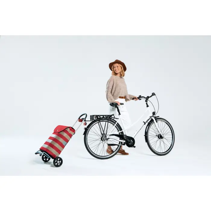 Сумка-тележка Andersen Scala Shopper Hera Silver (112-004-22)