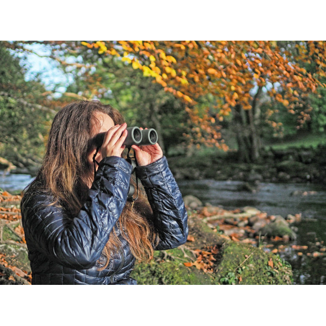 Бинокль Kowa Genesis Prominar XD 8x33 (10559)