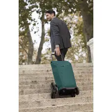 Сумка-тележка Gimi Tris Green (168424)