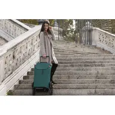 Сумка-тележка Gimi Tris Green (168424)