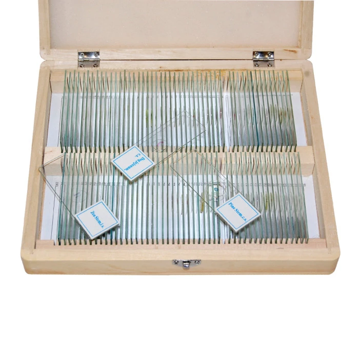 Набор препаратов Optima Общая биология E (100 шт.) (S-003.4)