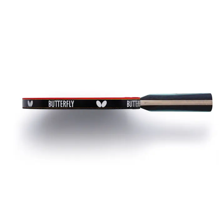 Набор для настольного тенниса Team Butterfly Advance FL x2 (6256900002-1)