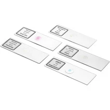 Микроскоп Bresser Biolux DLX 20x-1280x (5014000)