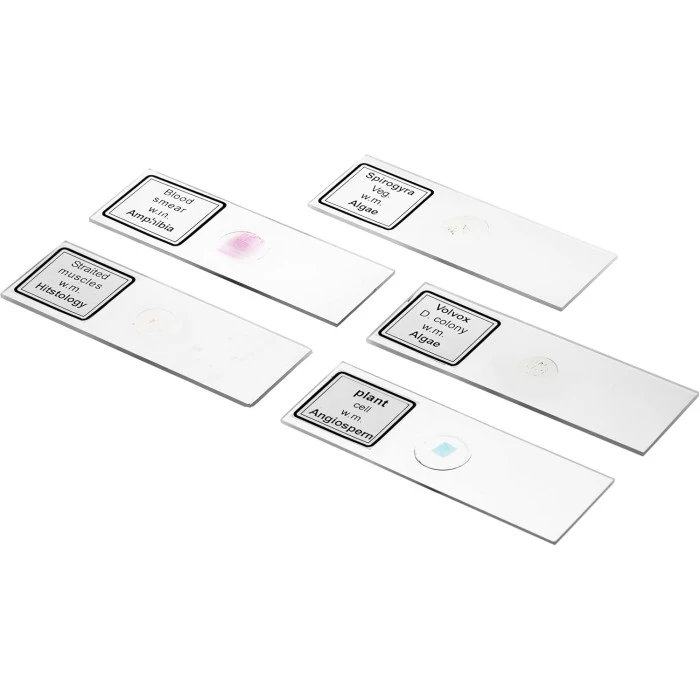 Микроскоп Bresser Biolux DLX 20x-1280x (5014000)