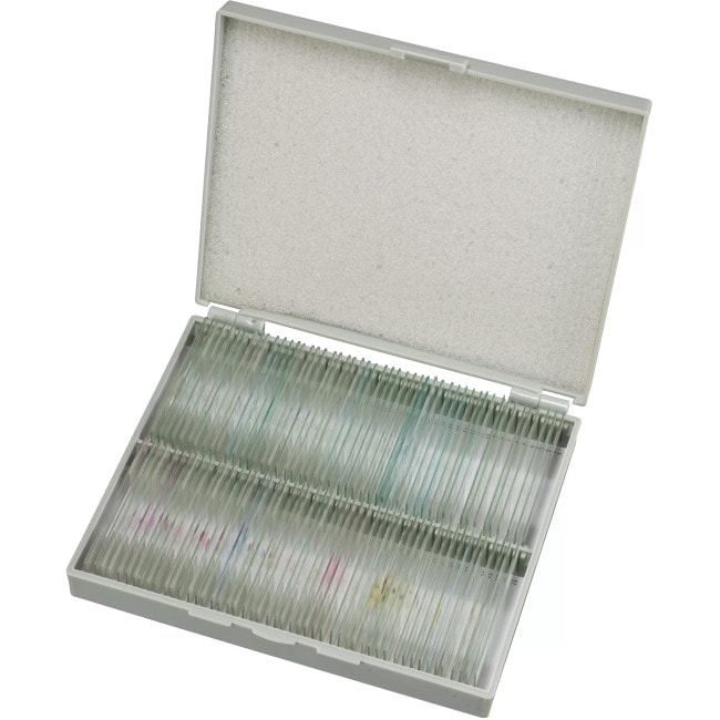 Набор микропрепаратов Bresser 100 шт (5986003)