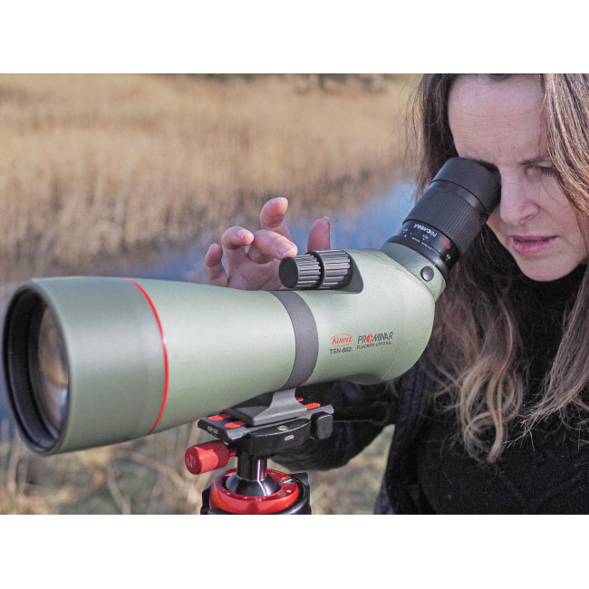 Подзорная труба Kowa Prominar XD 25-60x88/45 (TSN-883)