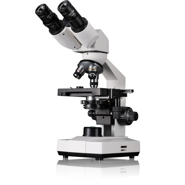 Микроскоп Bresser Erudit Basic Bino 40x-400x с адаптером для смартфона (5102200)