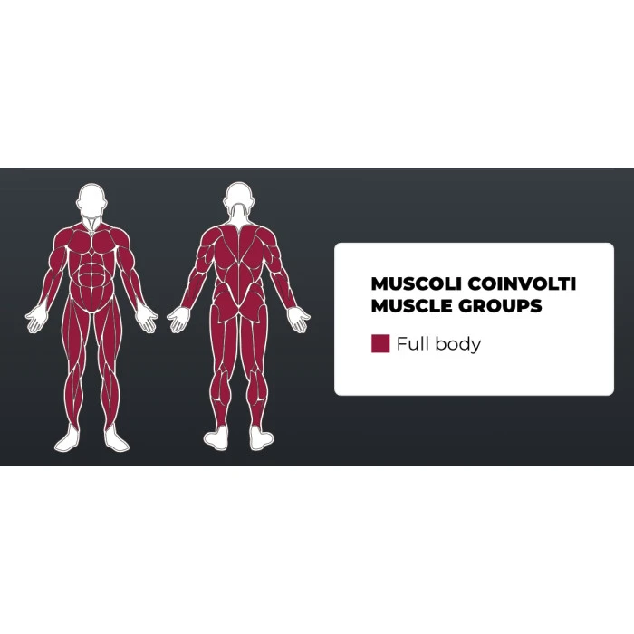 Кроссовер Toorx CSX-3000 (CSX-3000)