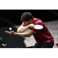 Ракетка для настольного тенниса Butterfly Ovtcharov Prime C (Carbon) FL (6116500002)