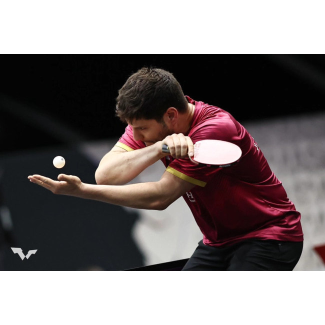 Ракетка для настольного тенниса Butterfly Ovtcharov Prime C (Carbon) FL (6116500002)