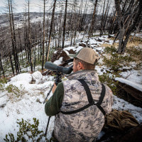 Подзорная труба Vortex Diamondback HD 20-60x85 AN (DS-85A)