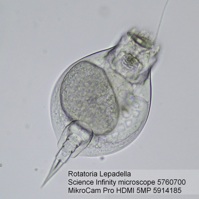 Микроскоп Bresser Science Infinity 30 (5760700)