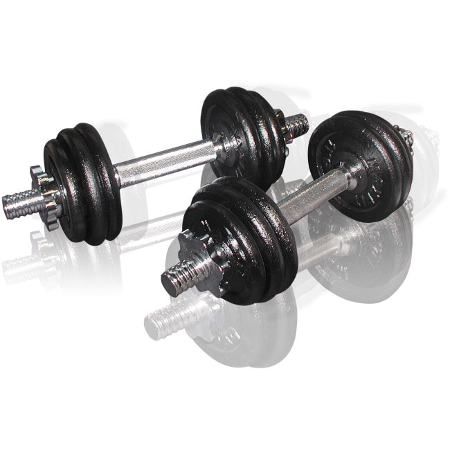 Гантели сборные Toorx 15 кг с кейсом (VAL-15DGN)