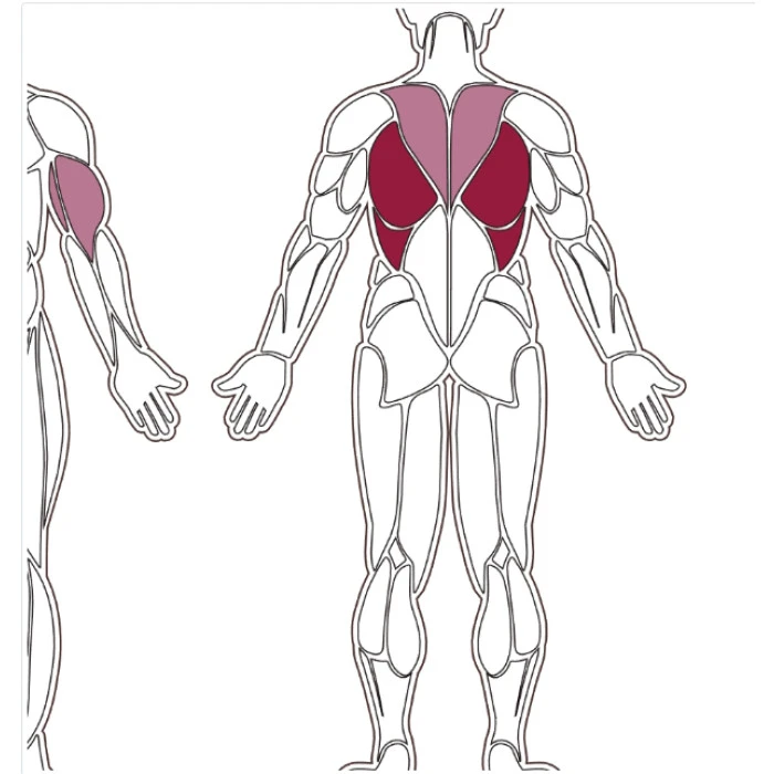Тренажер для тяги сидя Toorx FWX-5200 ROW
