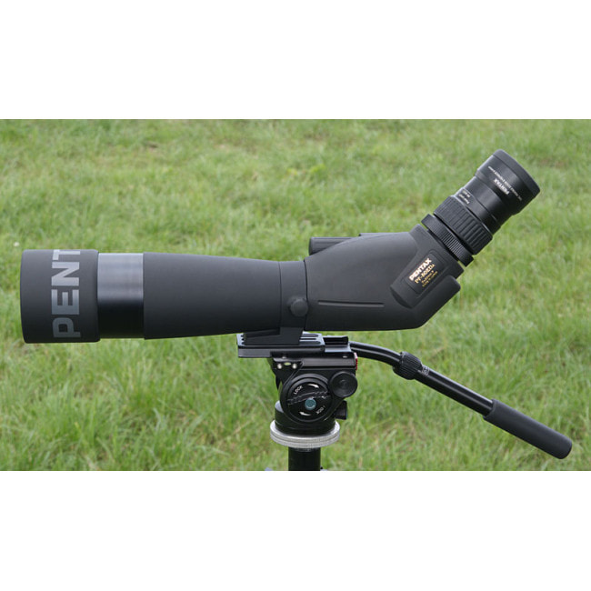 Подзорная труба Pentax 21-63x80/45 PF-80EDA W/C Kit (70950)