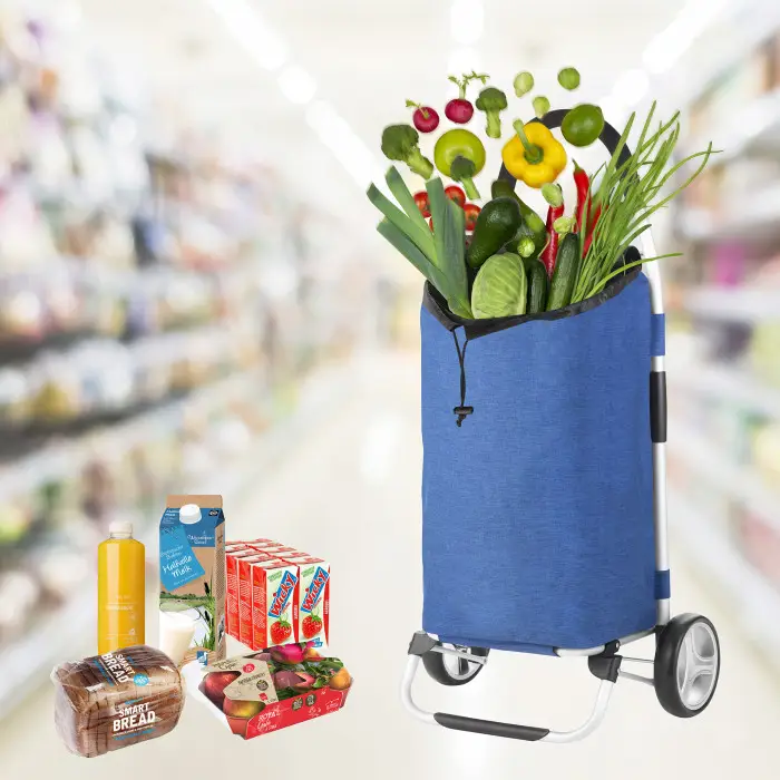Сумка-тележка ShoppingCruiser Foldable Blue (650061)