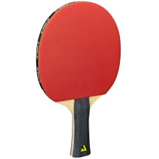 Набор для настольного тенниса Joola Quattro 4 Bats 10 Balls (54818)