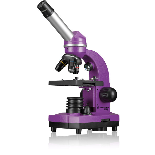 Микроскоп Bresser Junior Biolux SEL 40x-1600x Purple с адаптером для смартфона (8855600TJ5000)